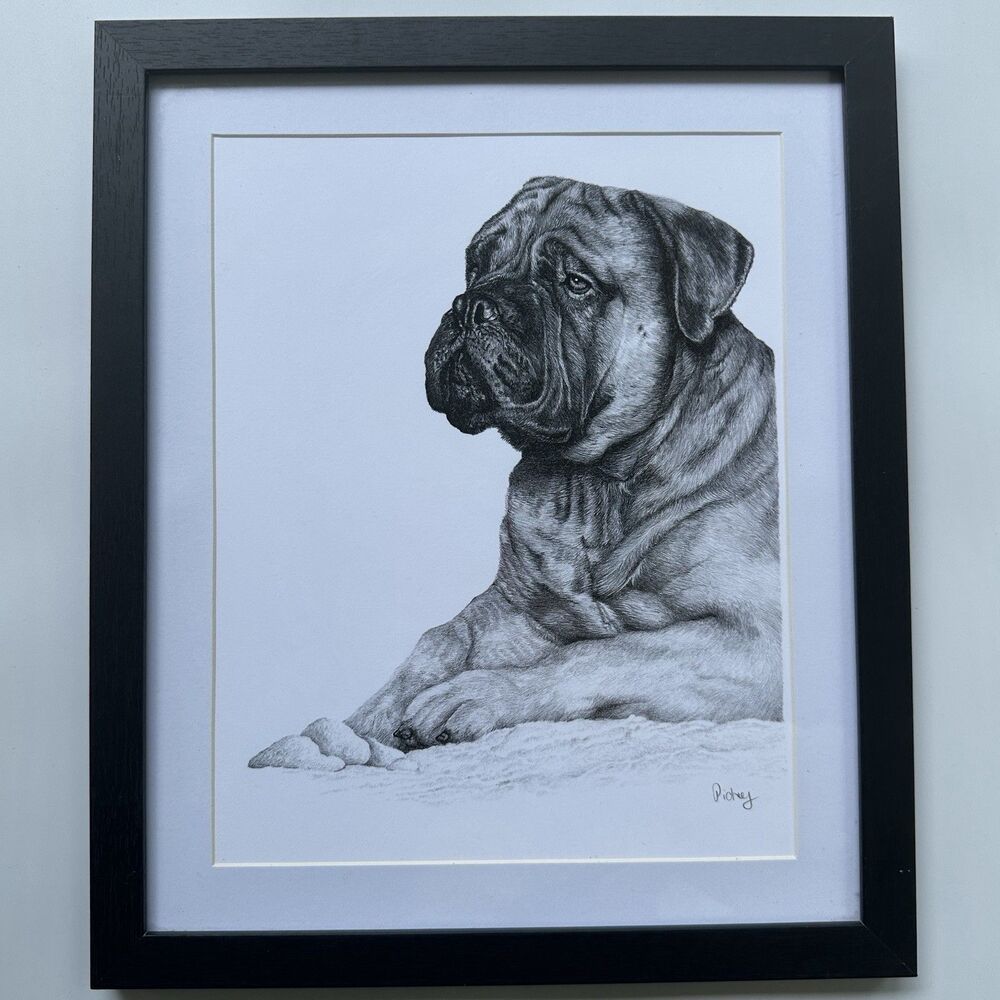 Vintage Bullmastiff Hand Signed Print Framed Roger Pidney Davidson Dog Art